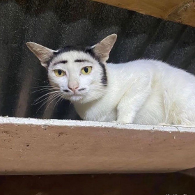 He is born